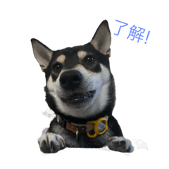 yukari_20221014102200