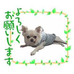 TONTON_20221013220709