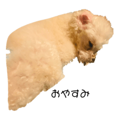 MIZUKI_20221014134619