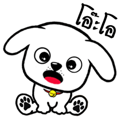 Doggi - Excited dog