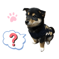 yukari_20221014171917