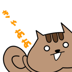 squirrel_kota