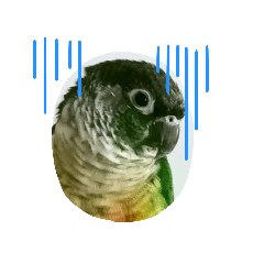 sun-bird