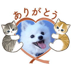 michiko_20221014204144