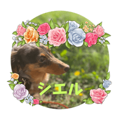 seira_20221015041428