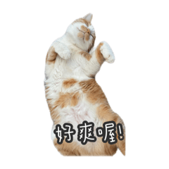 yx._.828_20221015002319 - LINE スタンプ | LINE STORE