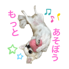 tomomi_20221014235843