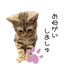 arisa_20221015022342