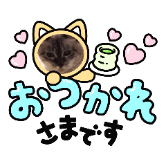 ton_20221015131644