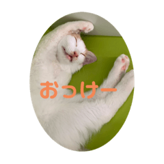 raoukenshirococo_20221015144146