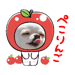 Mirumiruchannonichigyou