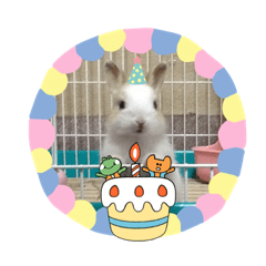 Umi寶貝日常生活