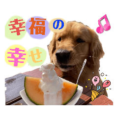 Honey_20221015171802
