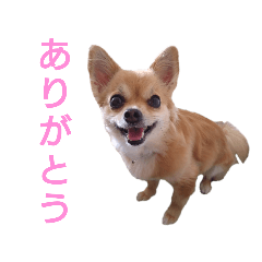 hana's stamp part6