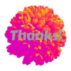 Colorful "Thanks" Stickers