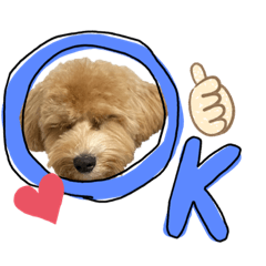 Shiho_20221015235535