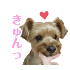 ooooc_20221016073818