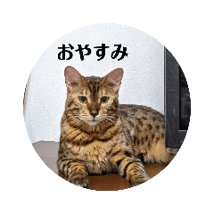 misa_20221016125904