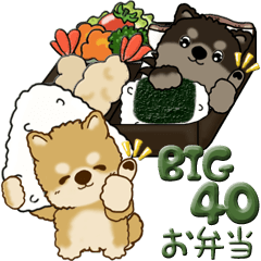 【Big】ちゃちゃ丸 40『お弁当どうぞ！』