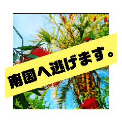 Mtaro..._20221015232425