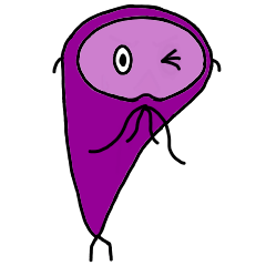 Giardia lamblia 2