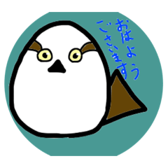 だるまさん鳥類Daruma-san Birds
