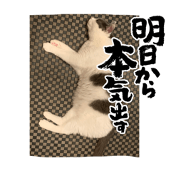 rina_20221016160731