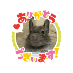 omochi_20221016195207