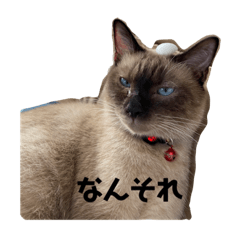 taki_20221016213227