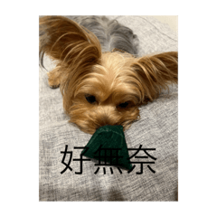 約約好好笑