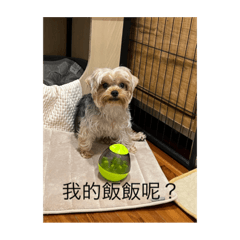 約約好好笑1