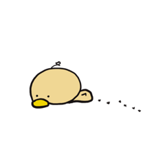 bed habit bird