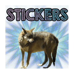 Talk stickerz to me