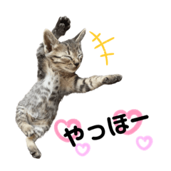 Natsumi_20221017020723