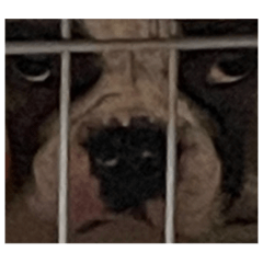 June_20221017003841