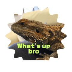 Rocky love you so much