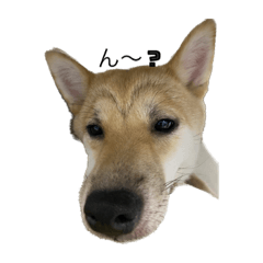 saori_20221017124951