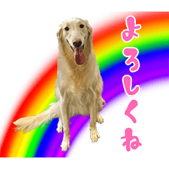 kuraraneesan10saikinen