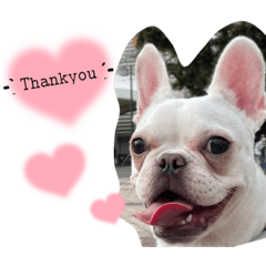 mizuki_20221018022225