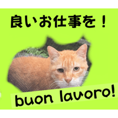 翻訳ネコのご挨拶！