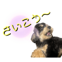 C&M_20221017151456