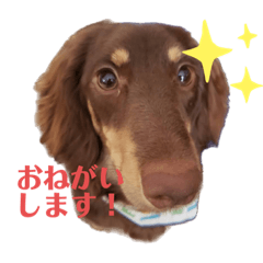 aoi_20221017174519