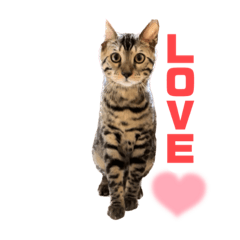 mizuki_20221017212807