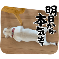 Tomomi_20221017224407