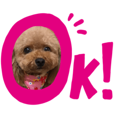 natsumi_20221018094554