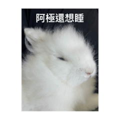 Chris_0813