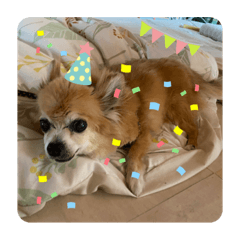 mizuki_20221017234753