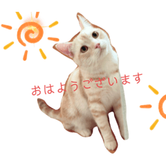 shiho_20221018112143