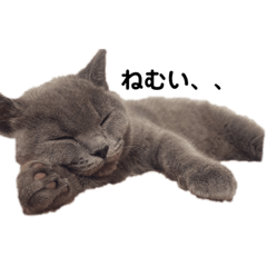 Mizuki_20221018142504