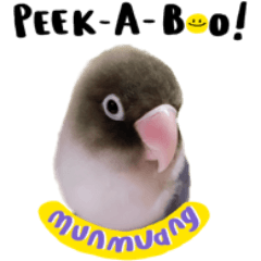 Munmuang : Peek-A-Boo